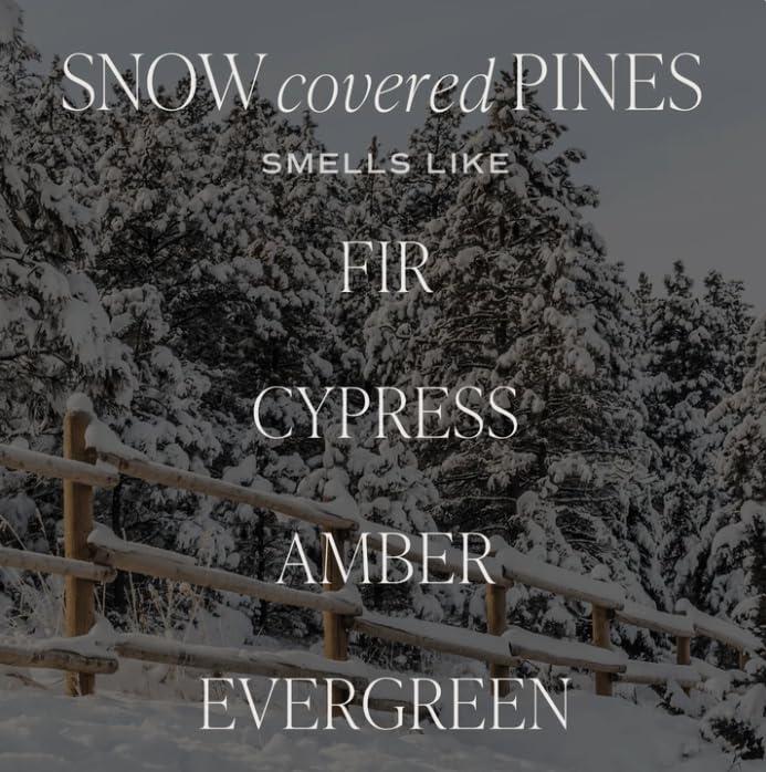 Sweet Water Decor Snow Covered Pines 15oz Matte Candle - Green