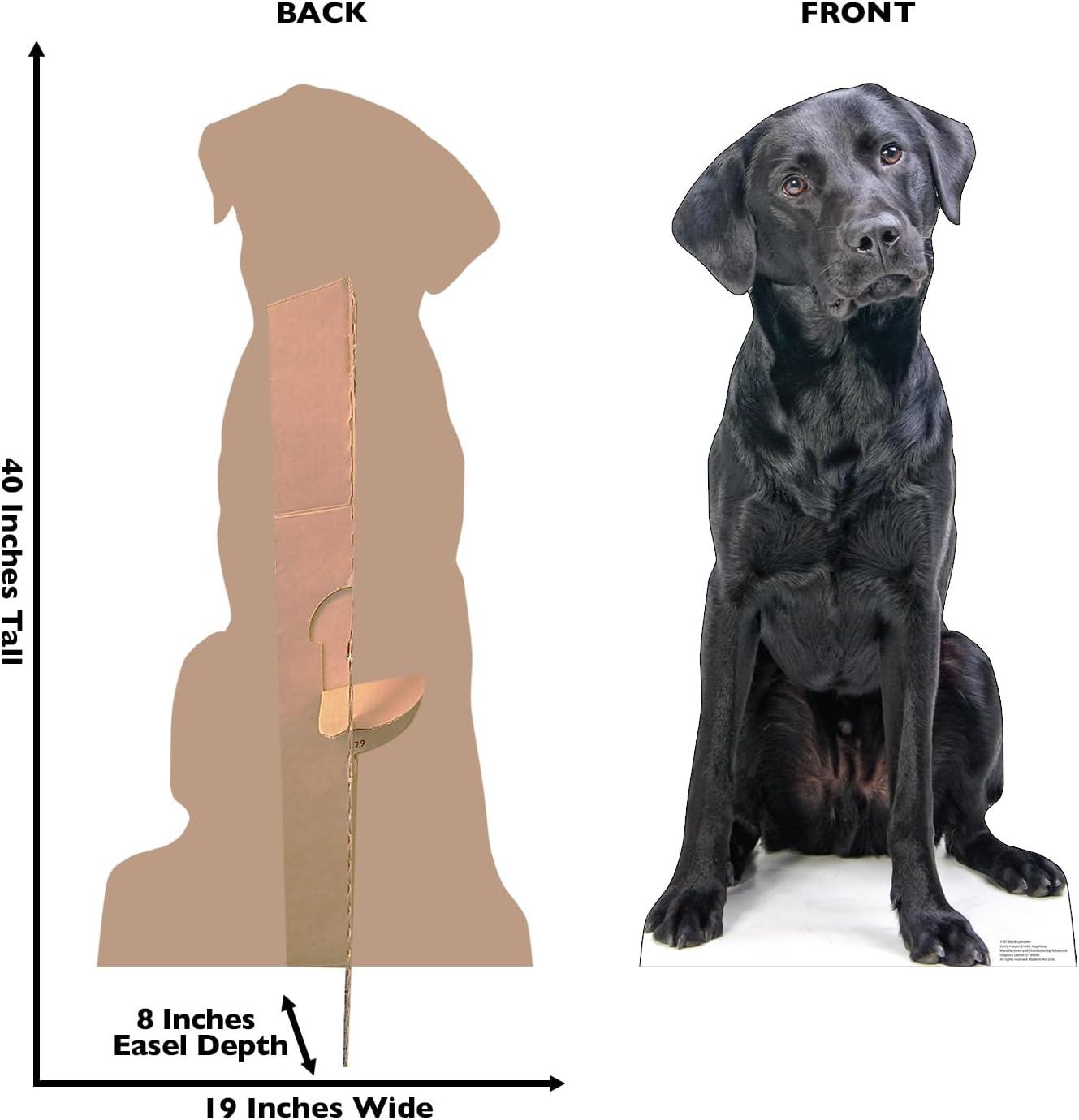 Life-Size Black Labrador Cardboard Cutout Standee