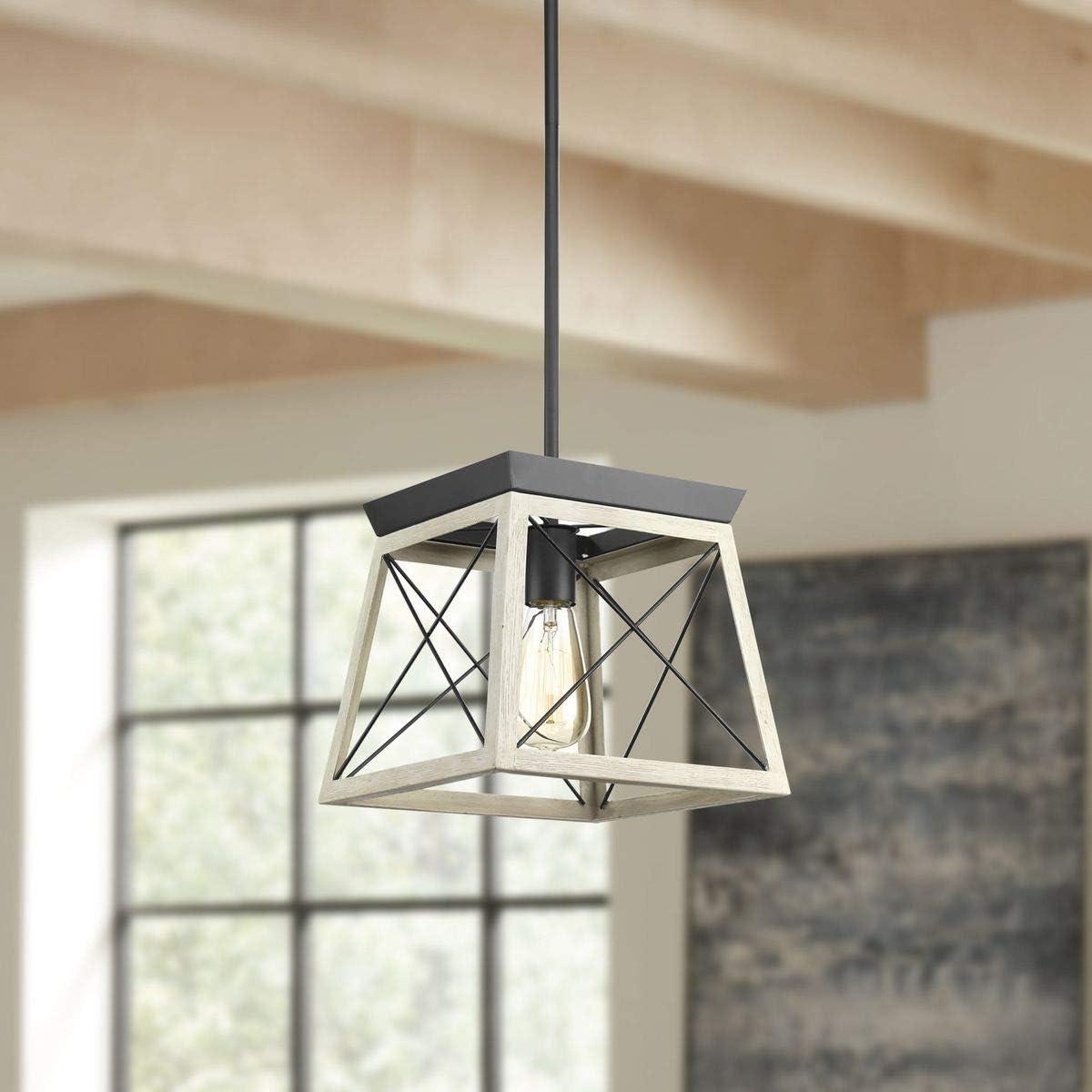 Progress Lighting Briarwood 1-Light Mini-Pendant, Steel, Graphite Finish, Faux-Painted Wood Enclosure