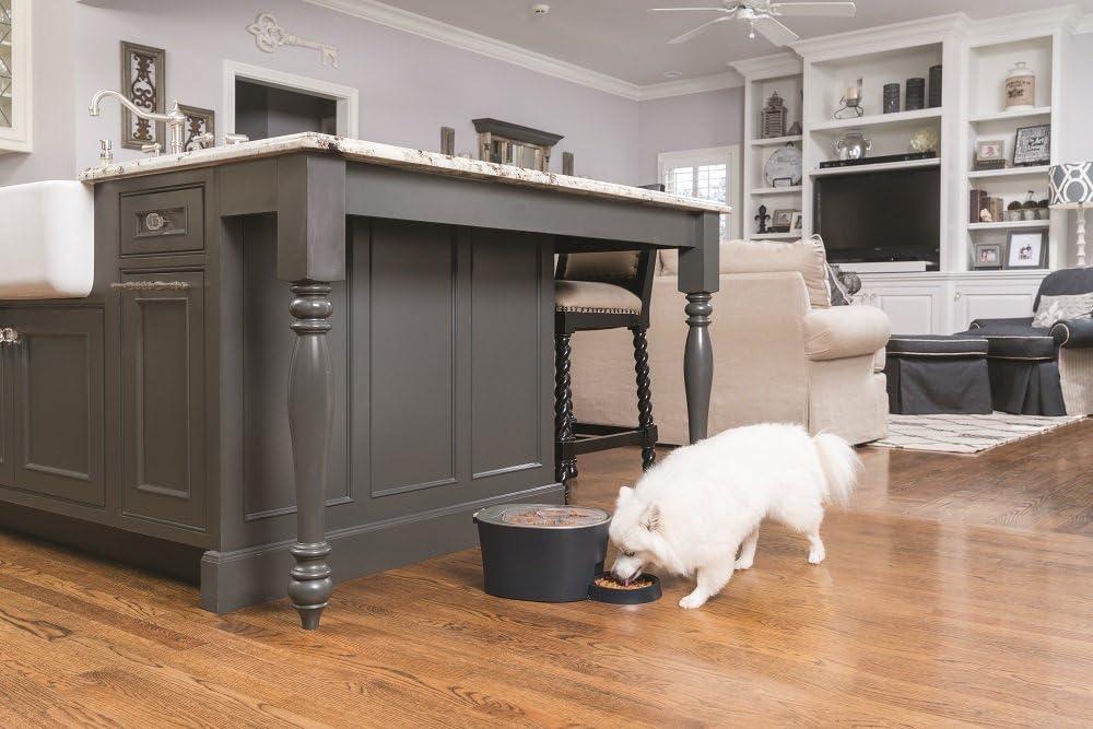 PetSafe® Six Meal Feeder