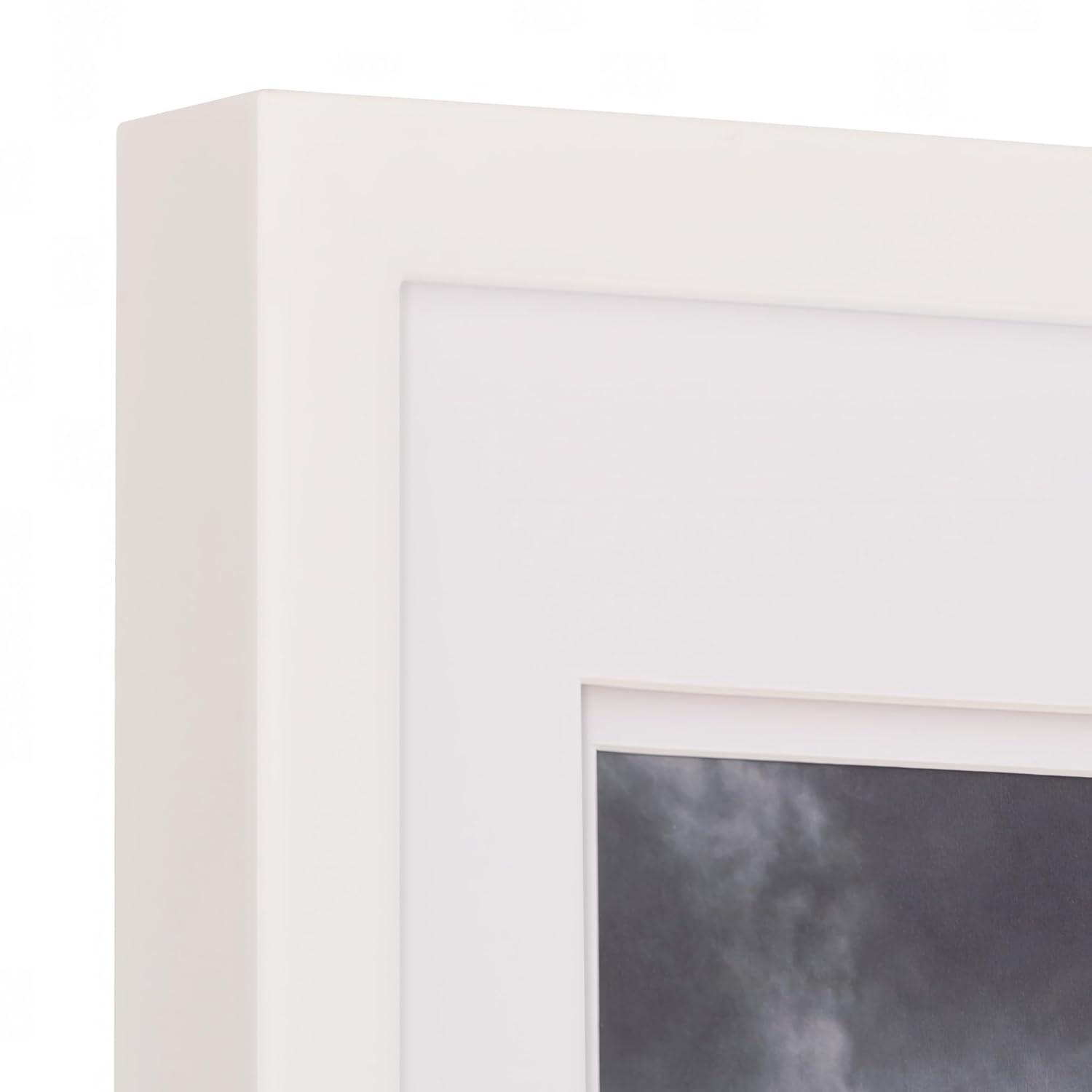 Gallery Solutions Wall Mount Double Airfloat Mat Picture Frame