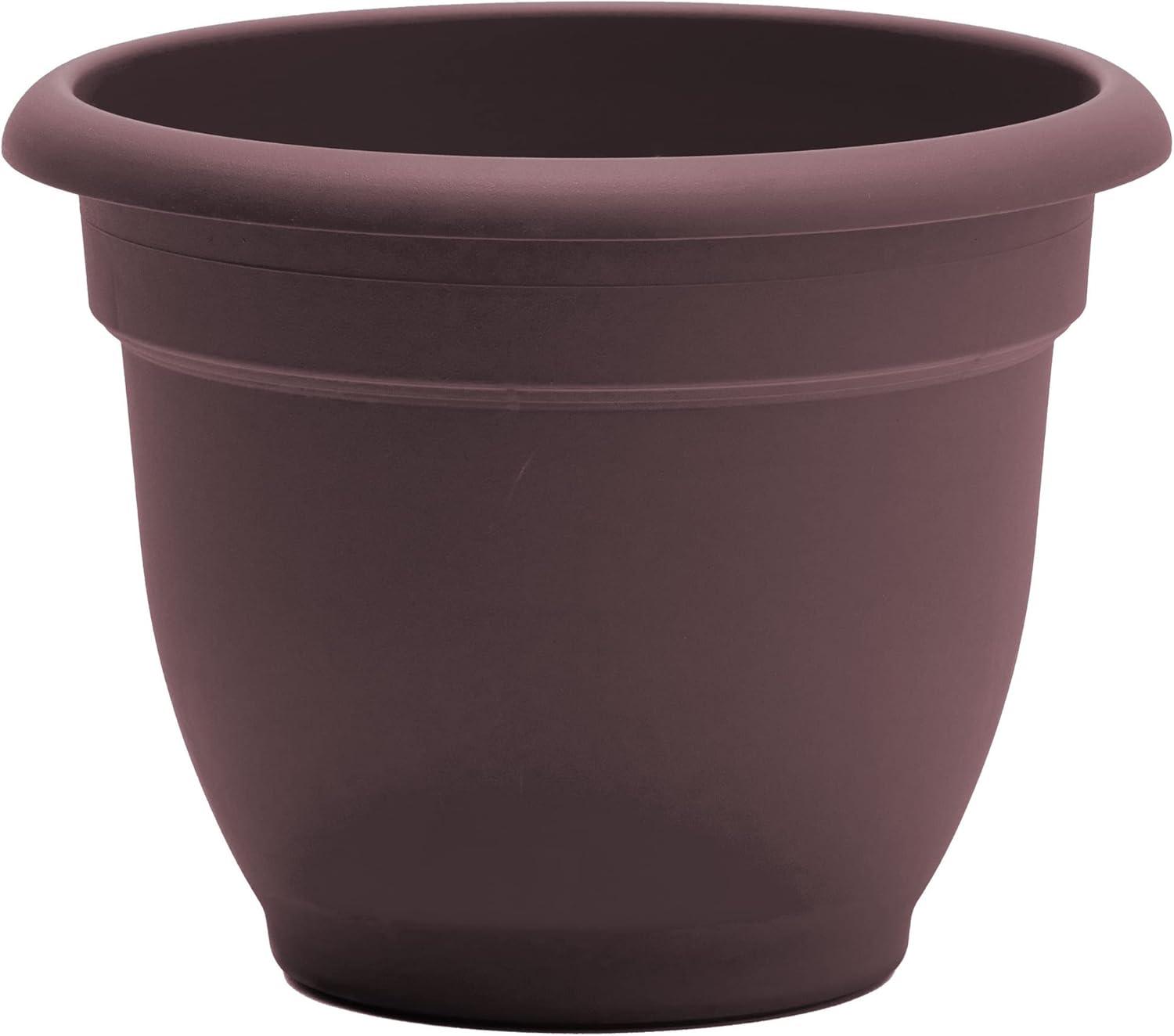 Bloem Ariana Self Watering Planter 12" Merlot. The Ariana planter wate, Each