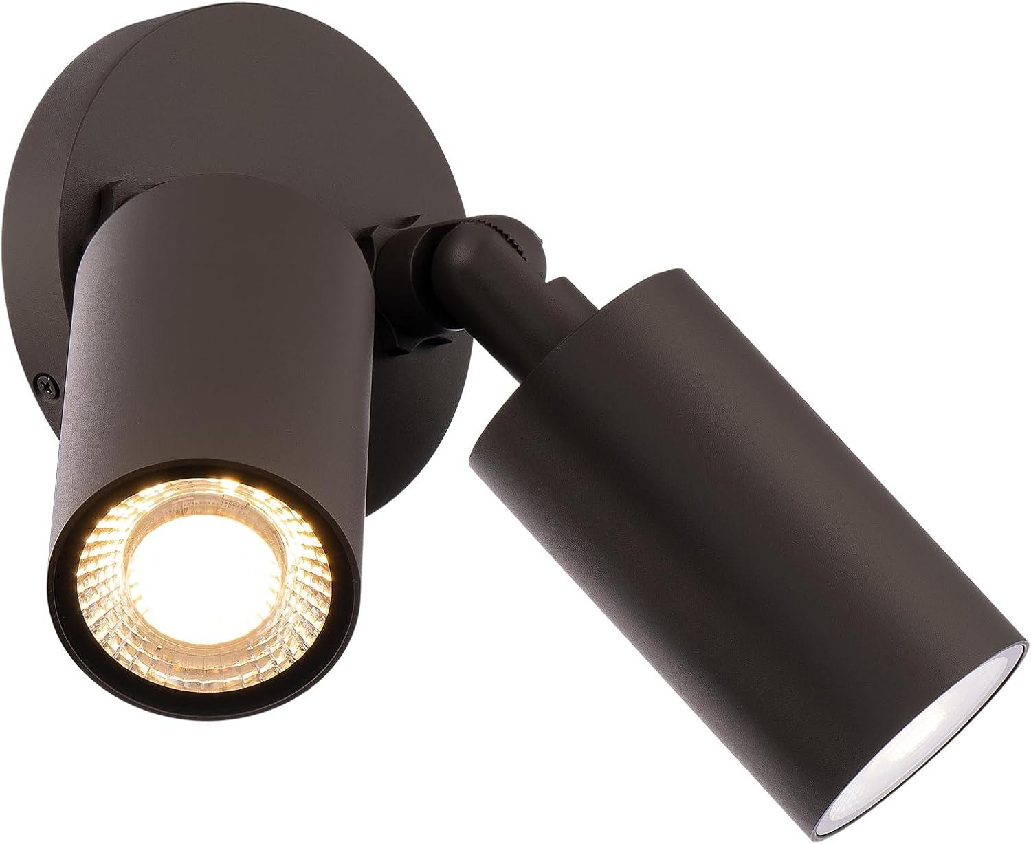 Bronze Double Cylinder Adjustable LED Wall Light