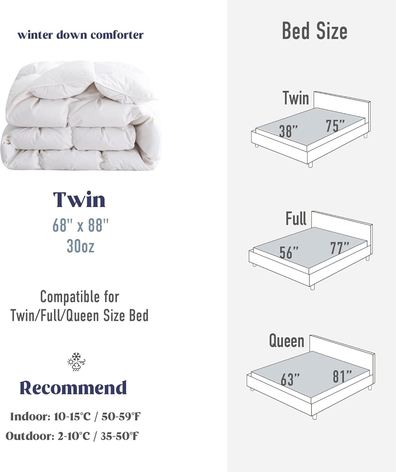 Winter Goose Down Comforter