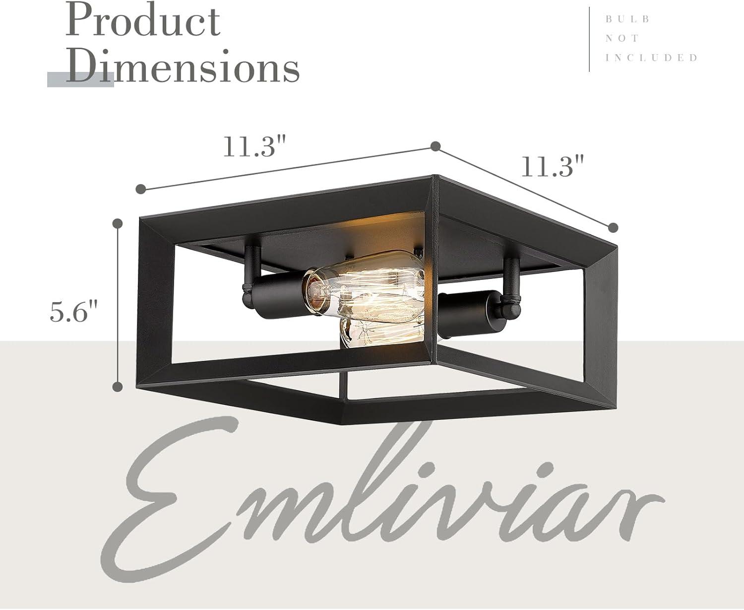 Emliviar 2-Light Flush Mount Ceiling Light, 11 Inch Farmhouse Ceiling Light Fixture for Bedroom, Black Finish with Aluminum Frame, 3040-2 BK