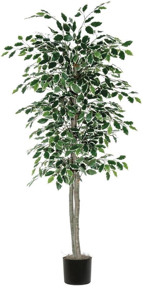 Lifelike Variegated Ficus Floor Plant in Black Pot - 79" Silk Foliage