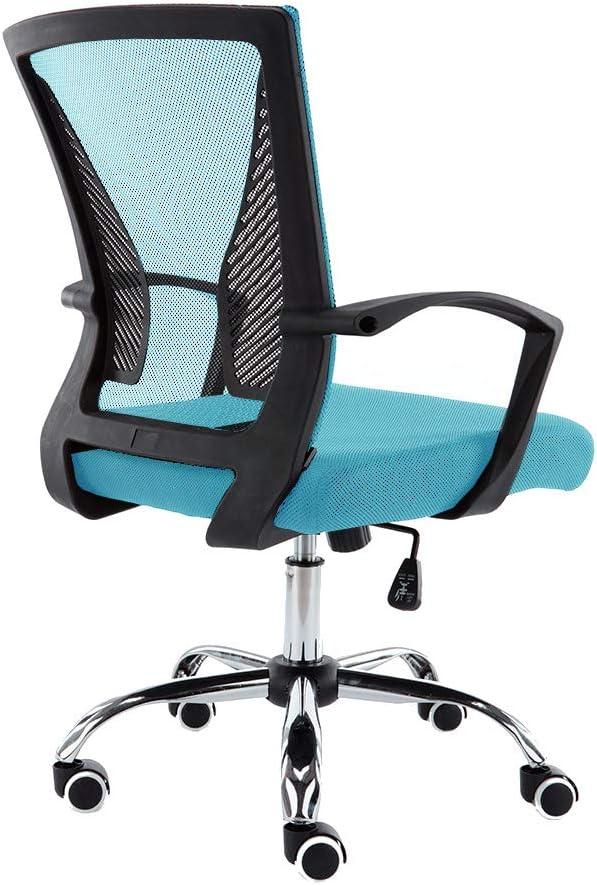 Drevy Zuna -Back Office Task Chair - Ergonomic Back Supporting Mesh Back Desk Chair (Black/Aqua)