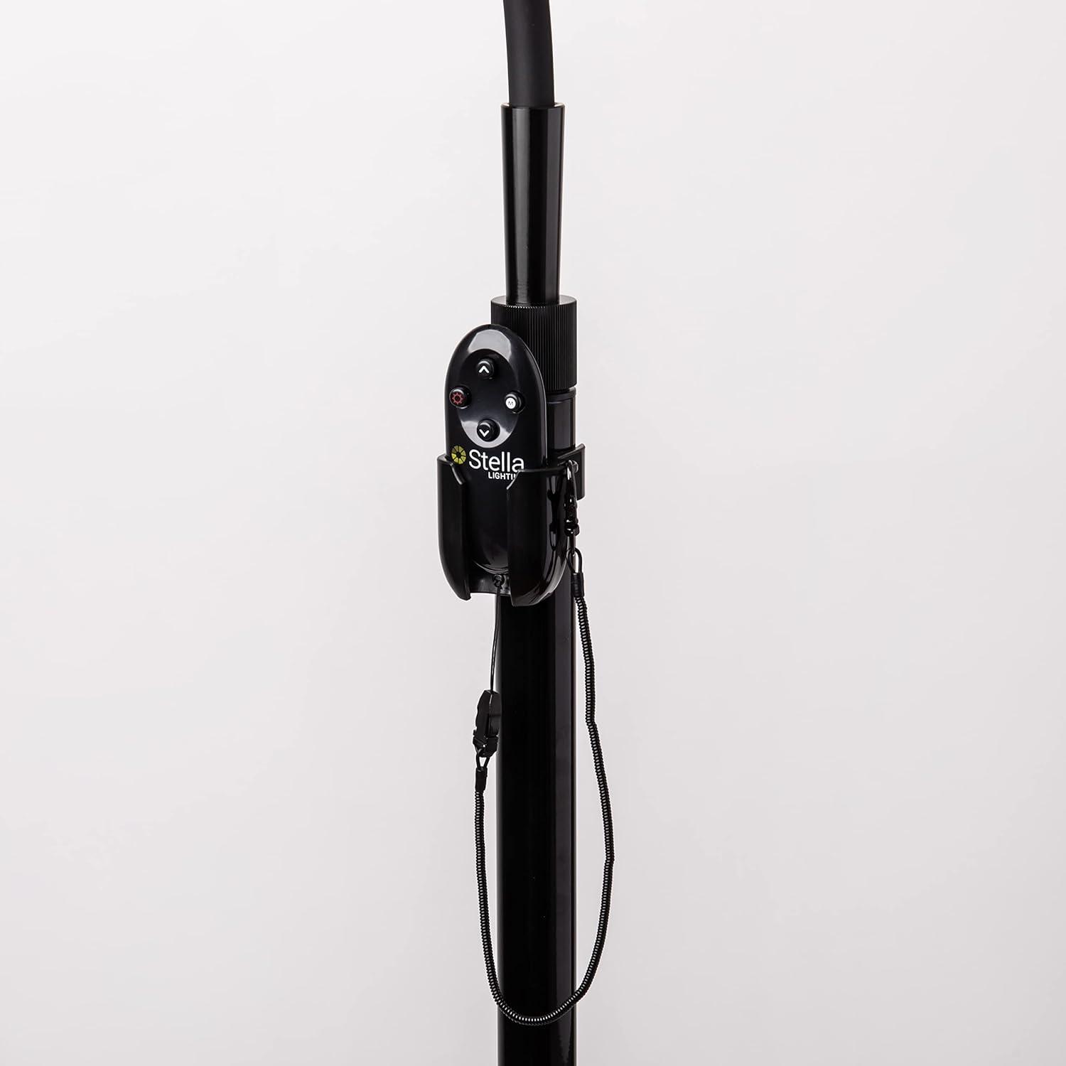Stellasky Floor Lamp-Black