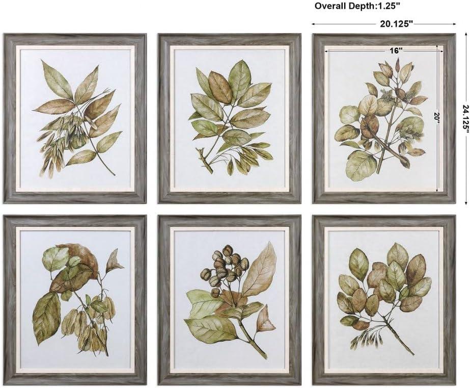 Set of 6 Gray Framed Botanical Prints with Glass