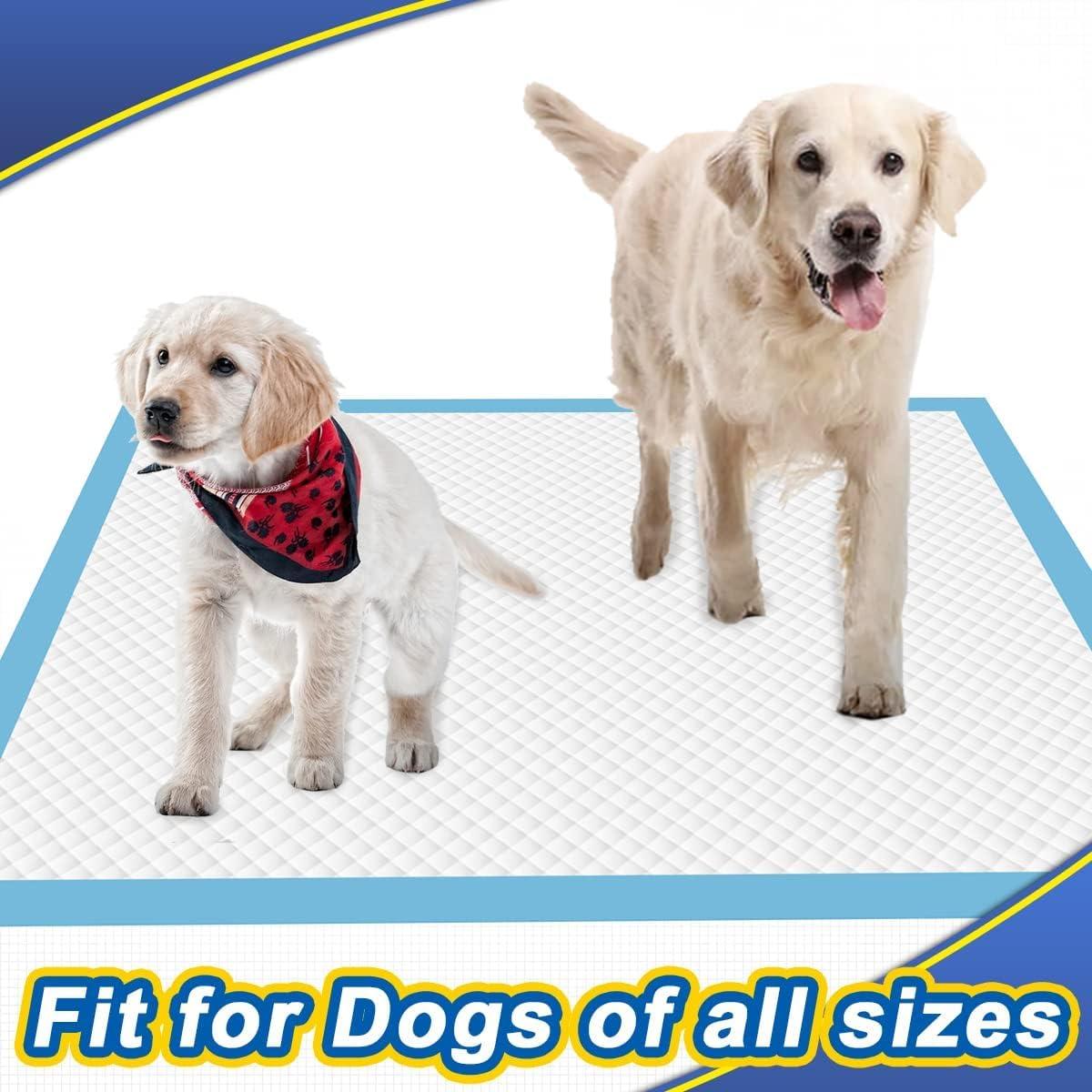 Pee Pads for Dogs - 30" X 36" Extra Large Puppy Pads XXL Potty Training Pads for Pet Wee Wee Pads Quick Absorbent Disposable Leak-Proof Pee Pads for Dogs Large Puppy Supplies - 30 Count