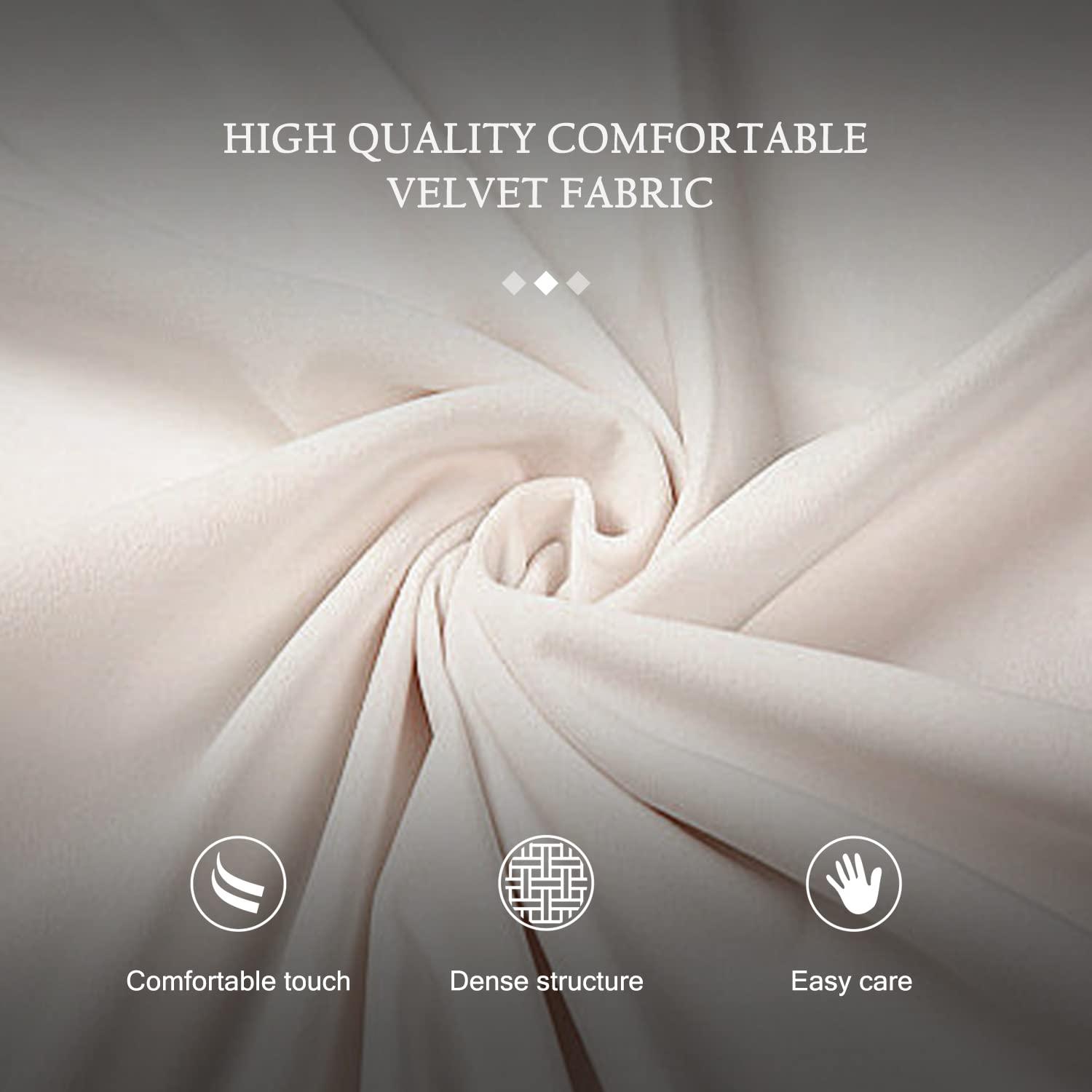 BELLEZE Upholstered Dining Chairs Set of 2, Velvet Luxury Dining Room Chairs with Button Back, Nailhead Trim, Pull-ring, Solid Wood Legs for Kitchen, Living Room, Restaurant - Chandler (Beige)