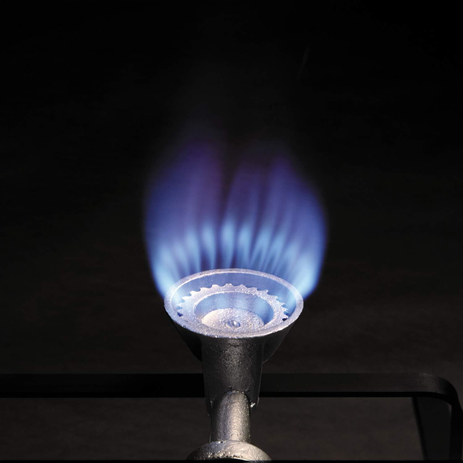 BURNER LP CAST IRON (Pack of 1)