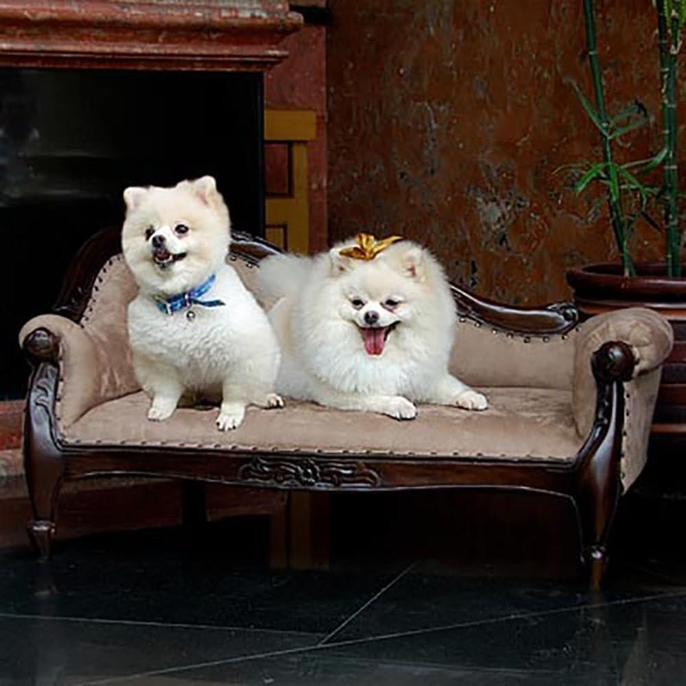 D-Art Collection Mahogany Victorian Pet Sofa