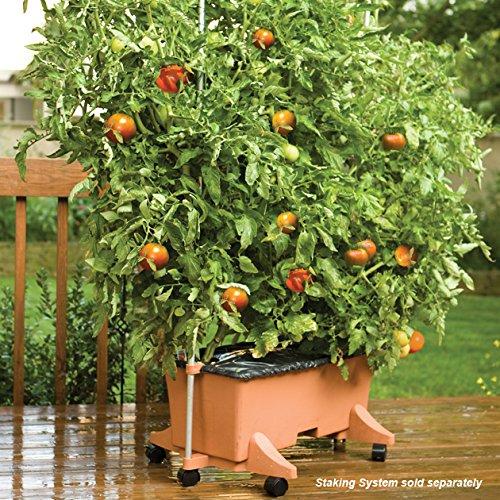 EarthBox Container Gardening System - Terra