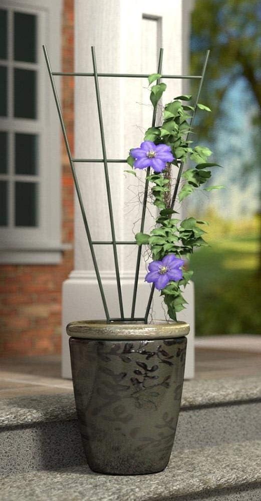 Green 36-Inch Powder Coated Steel Fan Pot Trellis