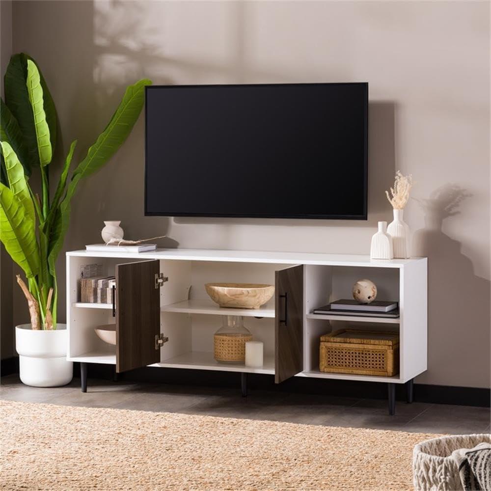 Akyrah 58" 2-Door TV Stand for TVs up to 65"