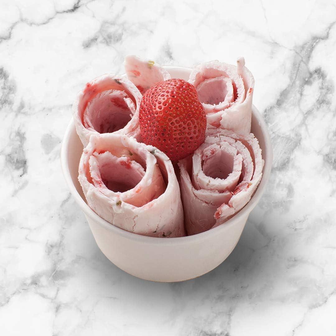 Whynter Whynter Portable Instant Ice Cream Maker Frozen Pan Roller in Stainless Steel