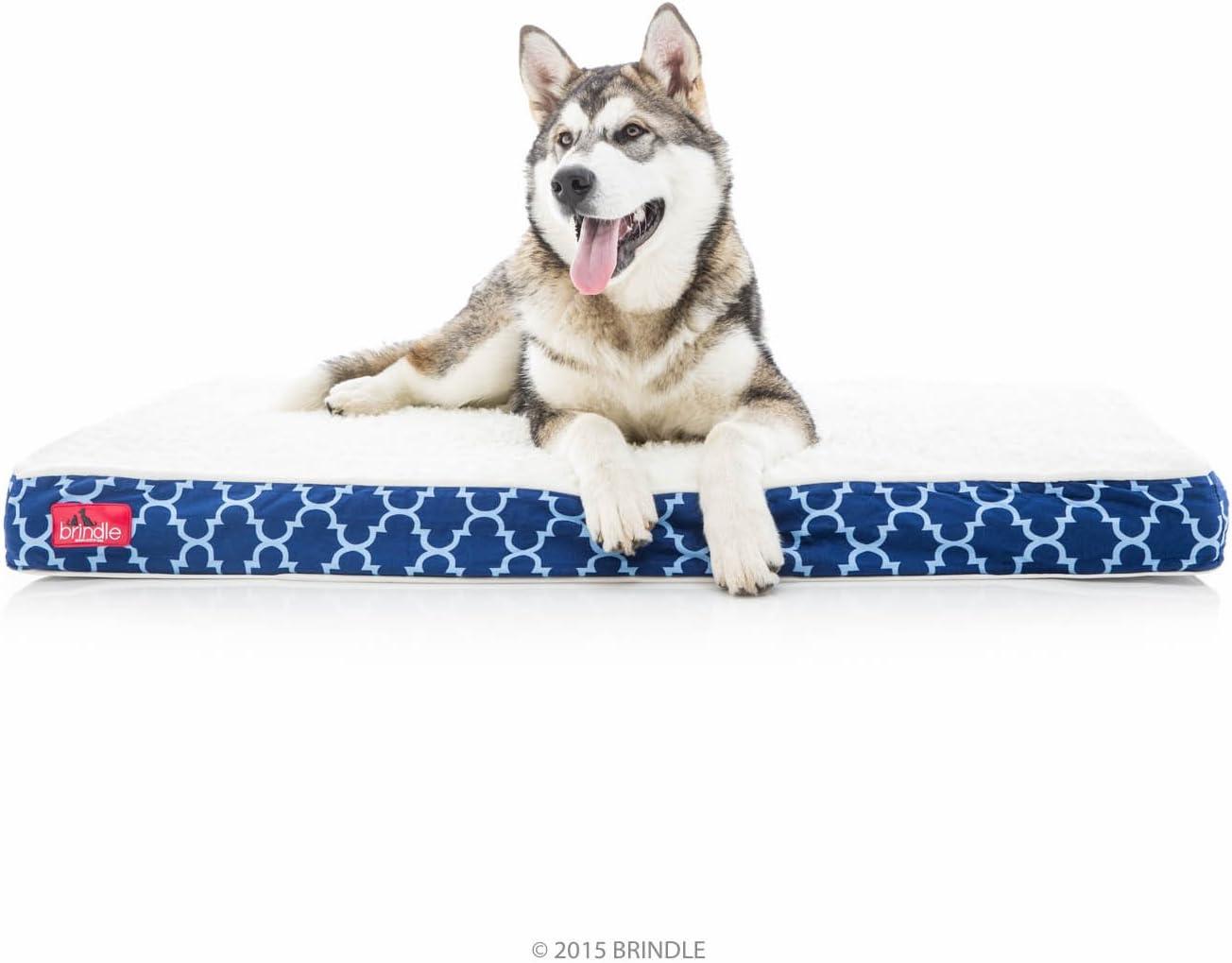Tucker Murphy Pet™ Cottrell Waterproof Designer Pillow