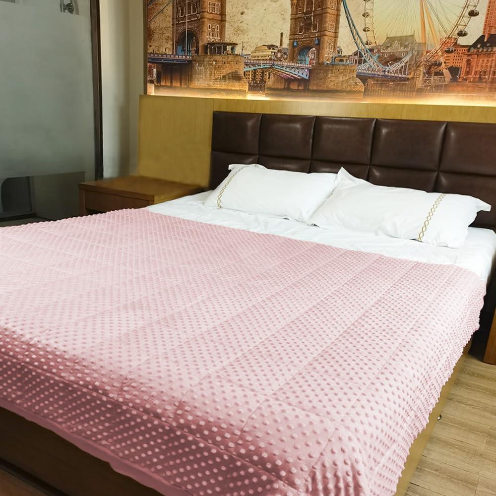 ALANSMA Weighted Blanket for All Season, Luxury Velvet, Warm and Cool, Adult Kids Reversible 15Lb Weighted Blanket, Enjoy Sleeping Anywhere(Pink,60"x80" 15lbs)