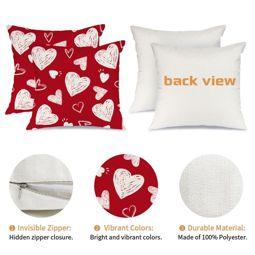 Chinoiseries Spring Pillow Covers 18x18 Set of 2, Black White Birds and Floral Throw Pillows Farmhouse Vintage Outdoor Decorative Cushion Case Decorations for Home Couch Sofa