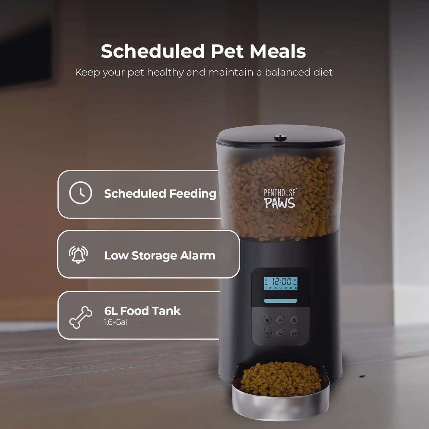 Penthouse Paws Black Stainless Steel Automatic Cat Feeder