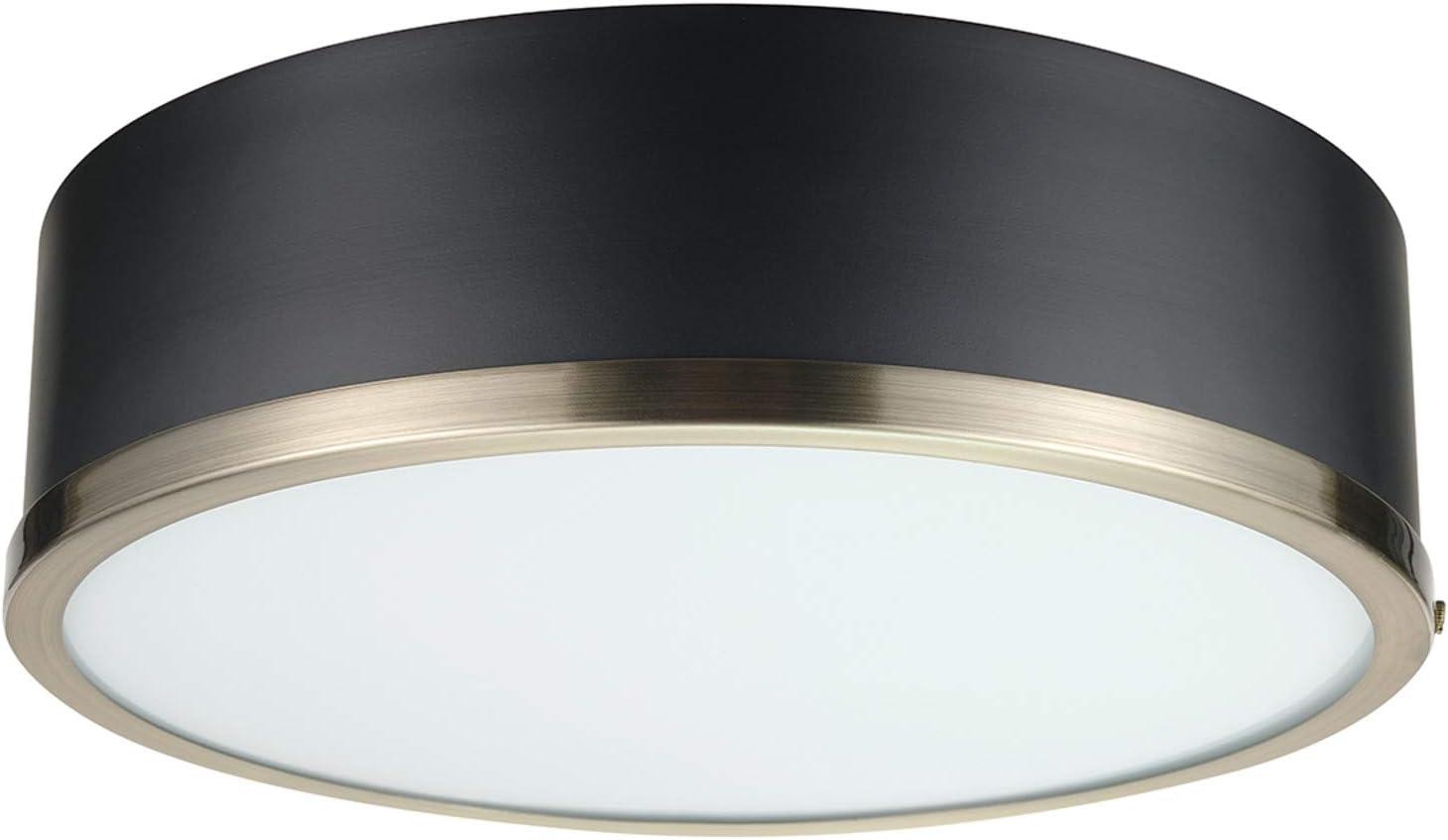 Selina 14" Matte Black Modern Flush Mount with Frosted Glass Shade