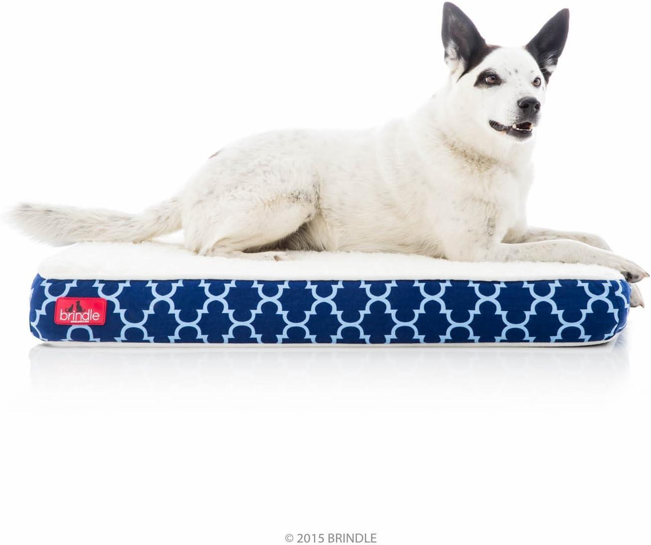 Tucker Murphy Pet™ Cottrell Waterproof Designer Pillow