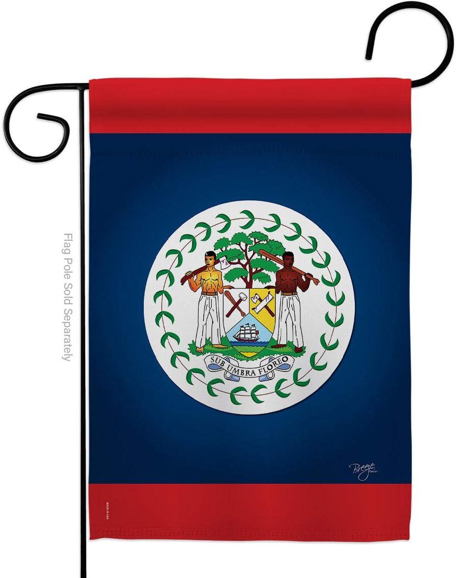 Double Sided Polyester House Flag