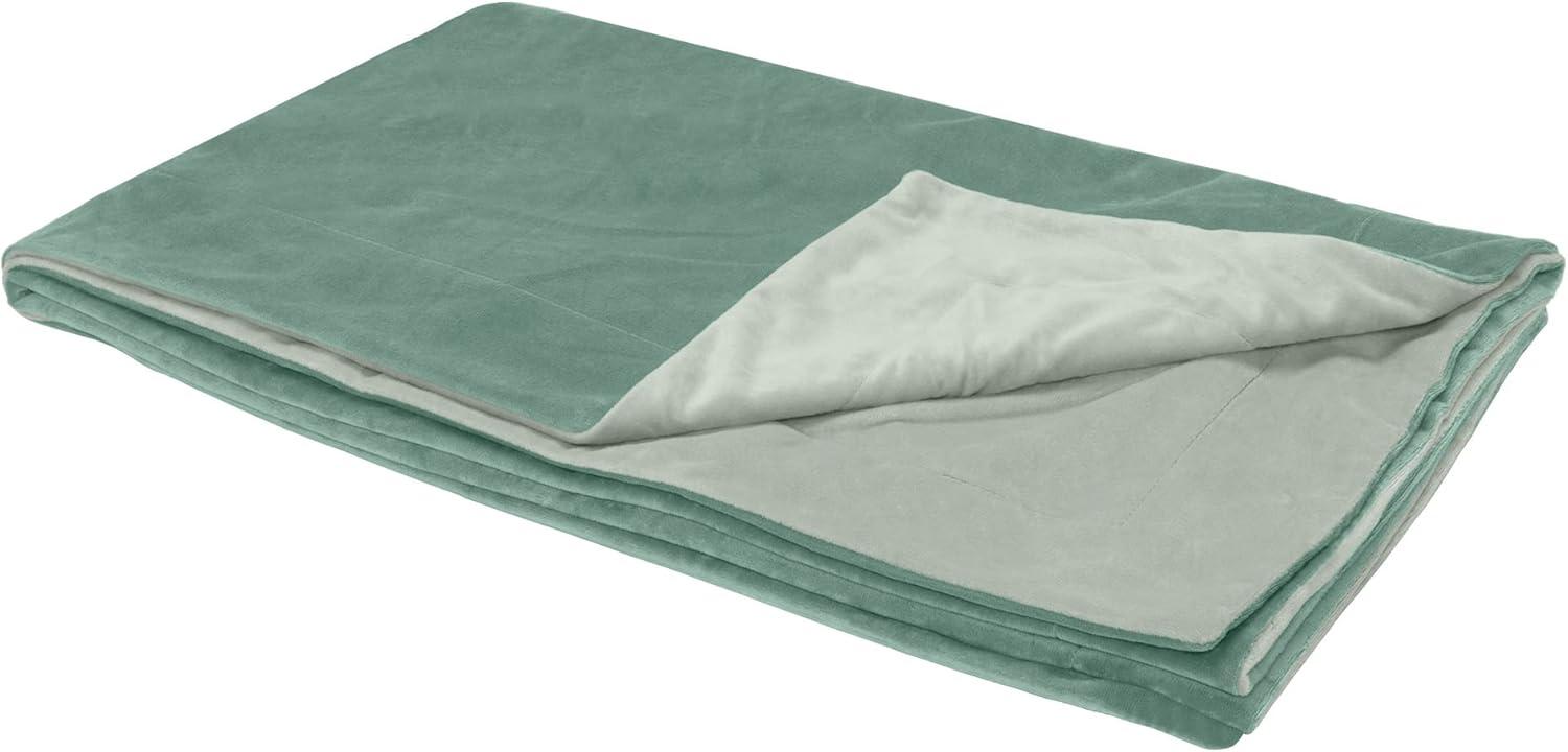 FurHaven Pet Products Waterproof Velvet Throw Blanket - Celadon Green, Extra Large