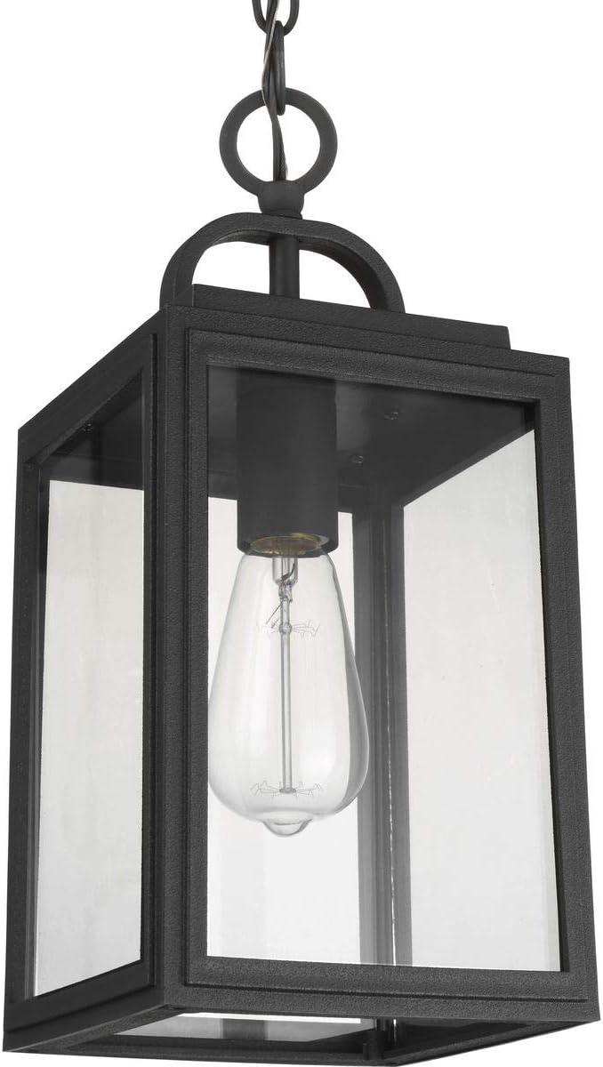 Progress Lighting Grandbury 1-Light Outdoor Hanging Lantern, Black, Clear Glass, DURASHIELD