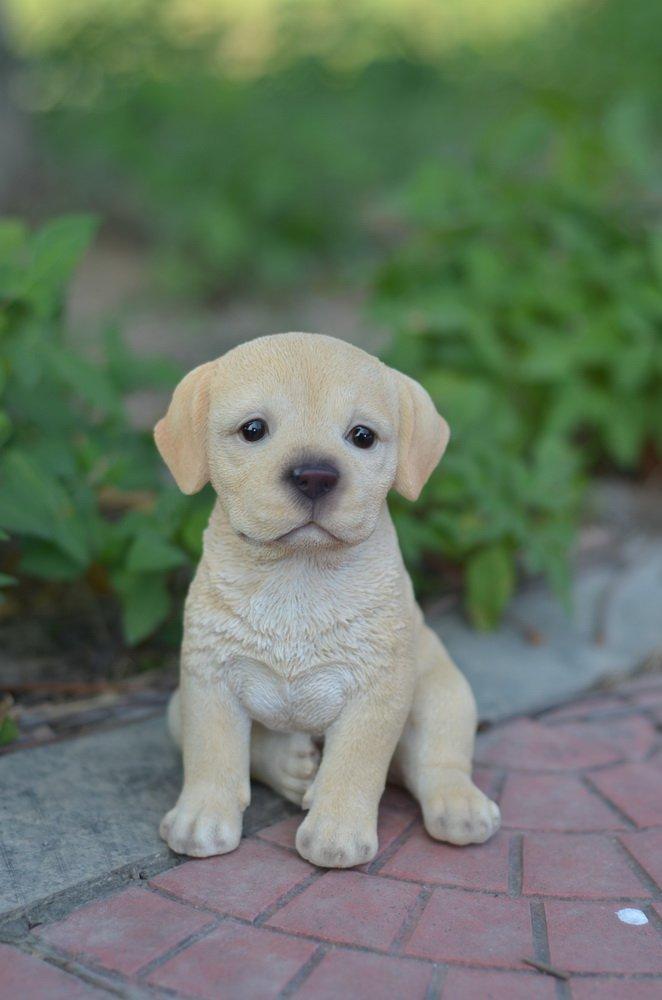 Hi-Line Gift Ltd. Yellow Labrador Puppy Statue