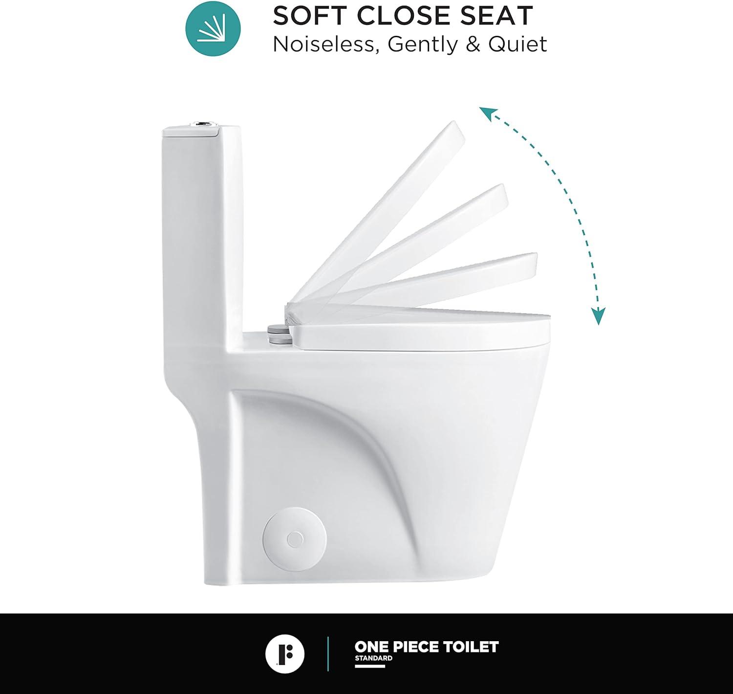 Dual-Flush Elongated One-Piece Toilet with High Efficiency Flush