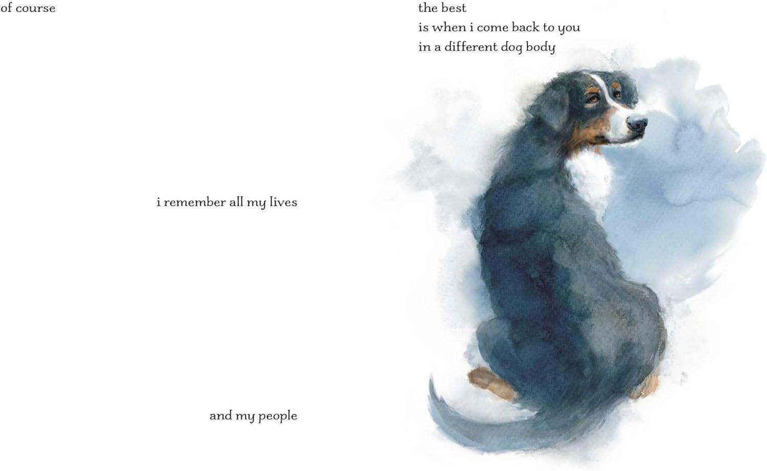 I'm Still Here - by  Cathryn Michon (Hardcover)