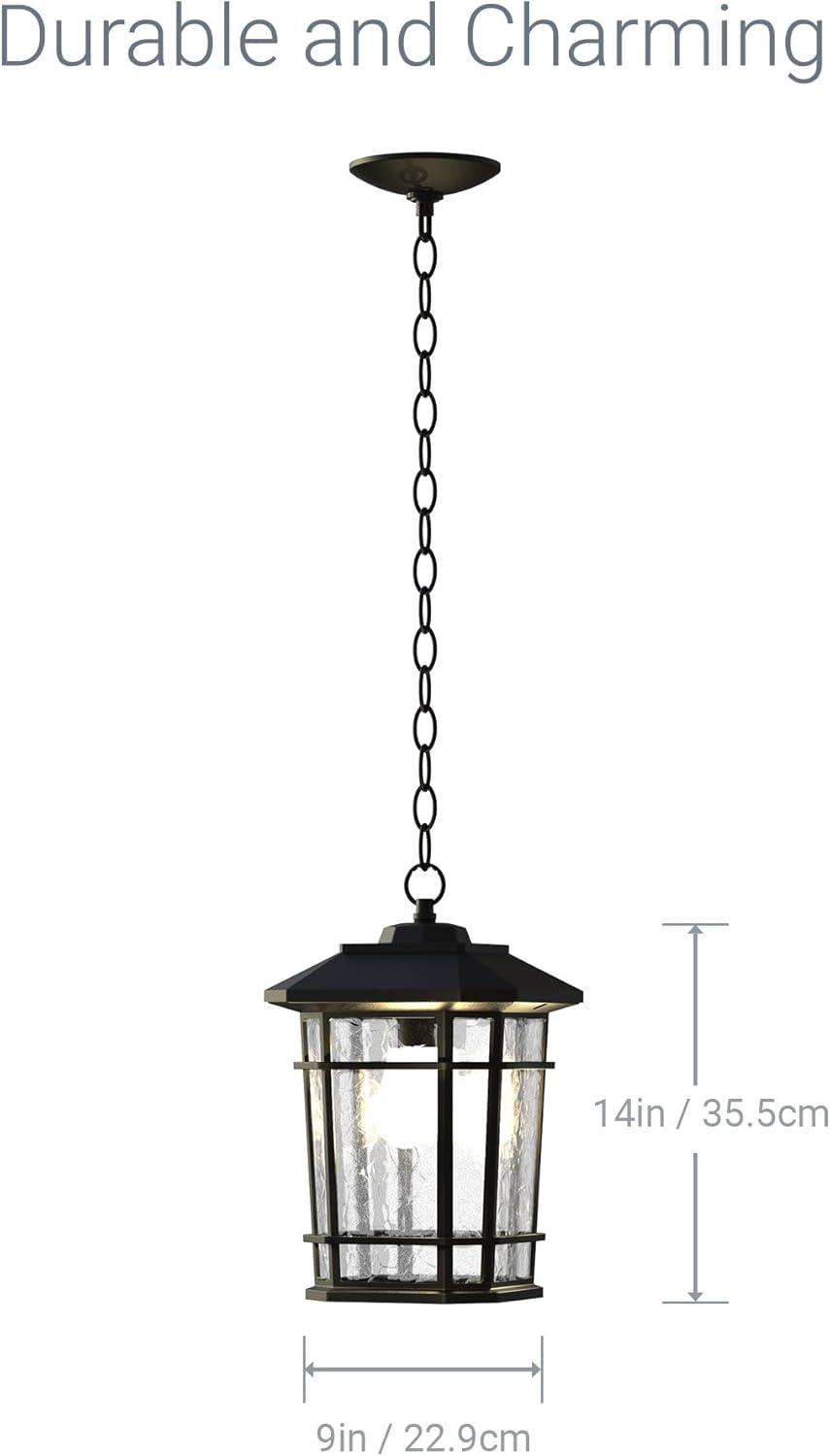 Williams 1- Light Black 14" H Glass Outdoor Hanging Lantern (Bulb Included)
