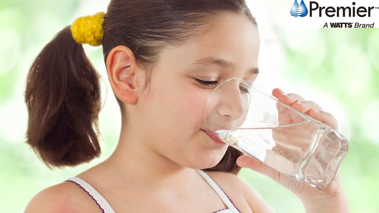 Watts Premier OneFlow+ Radial Flow Carbon Block Filter, OFPRFC