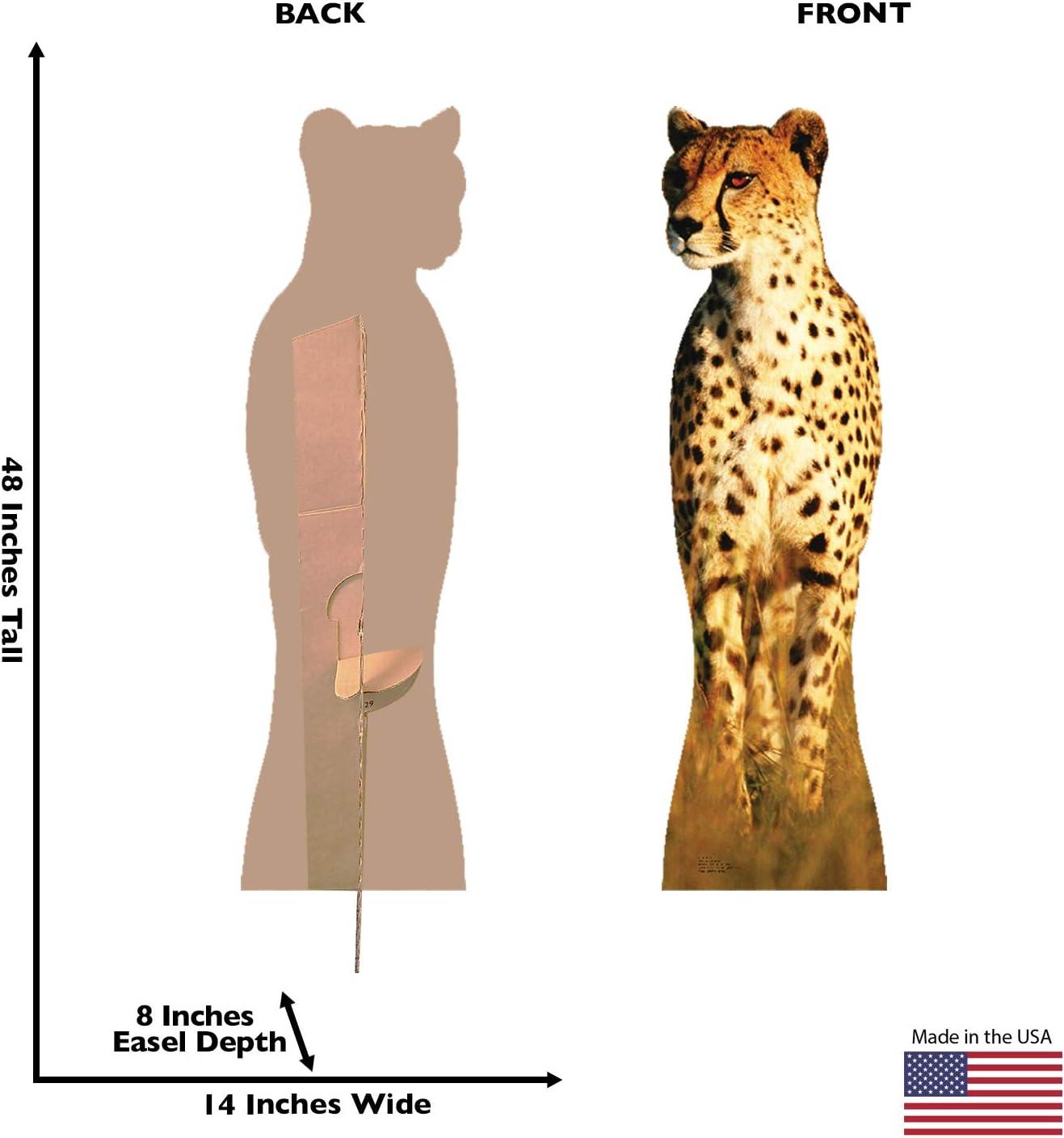Cheetah Life-Size Cardboard Stand-Up