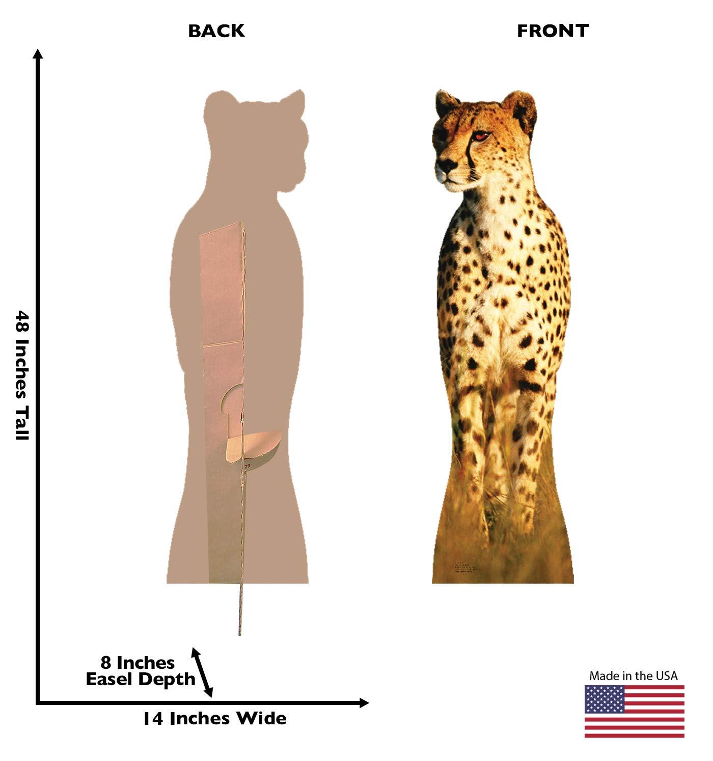 Cheetah Life-Size Cardboard Stand-Up