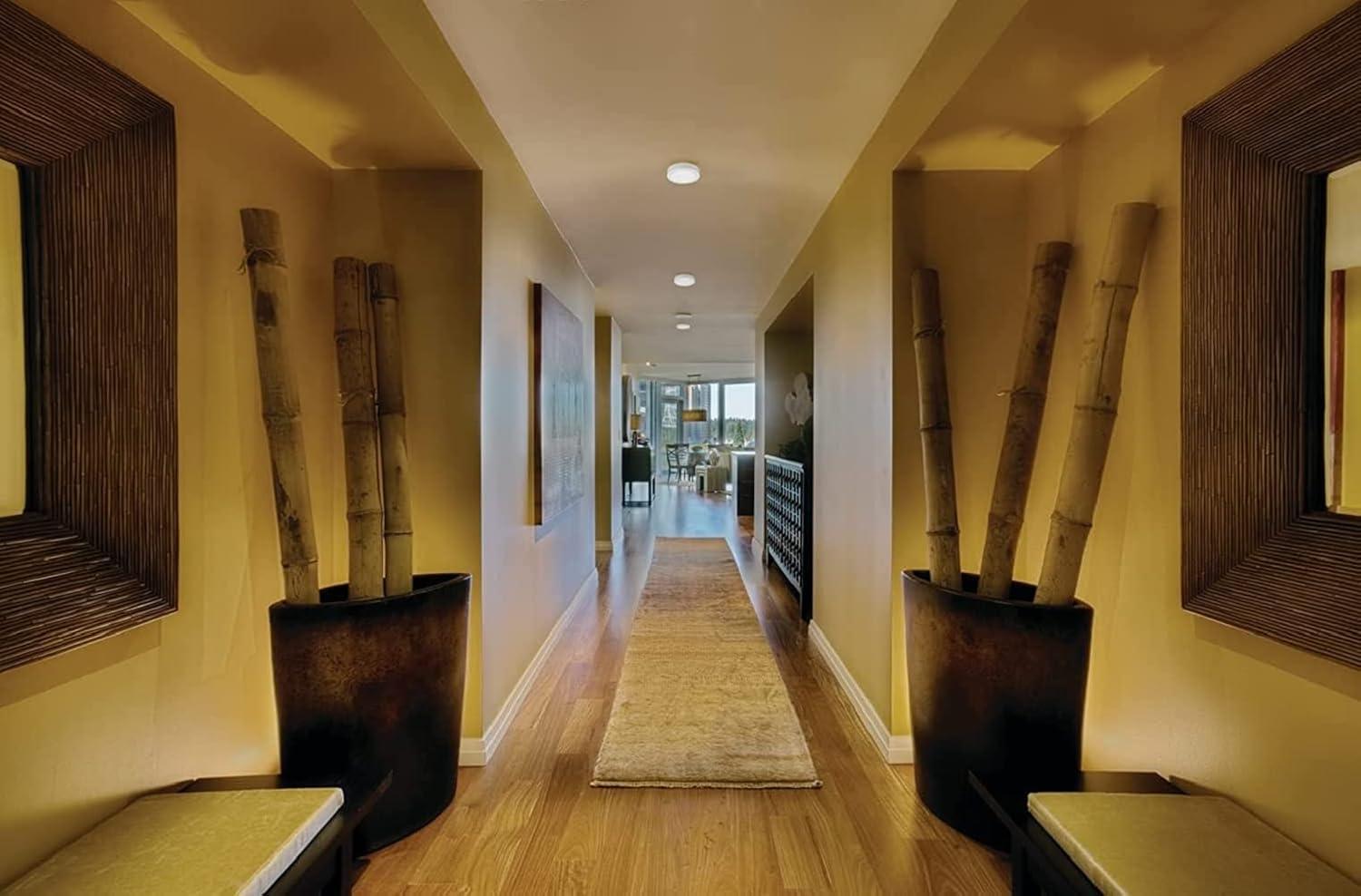 Juno Dimmable Circle Fixture Component Ceiling Light