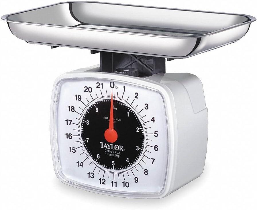 Taylor® Precision Products 3880 Kitchen & Food Scale, 22 Lbs