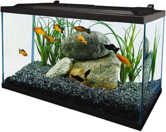 Tetra 10 Gallon Glass LED Aquarium Kit
