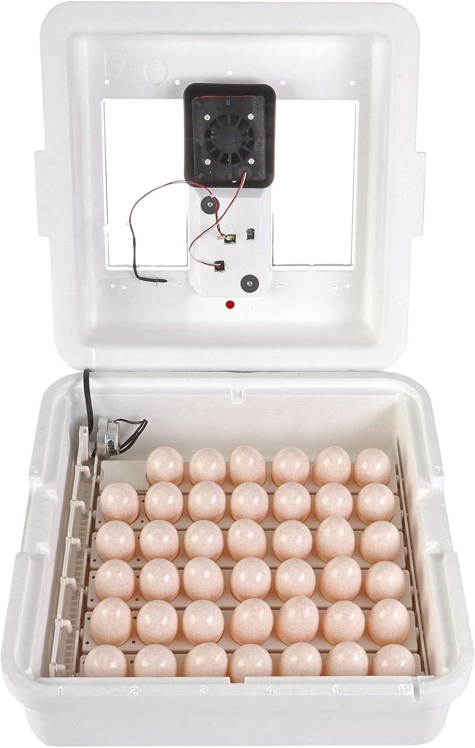 Little Giant White Digital Still Air Incubator