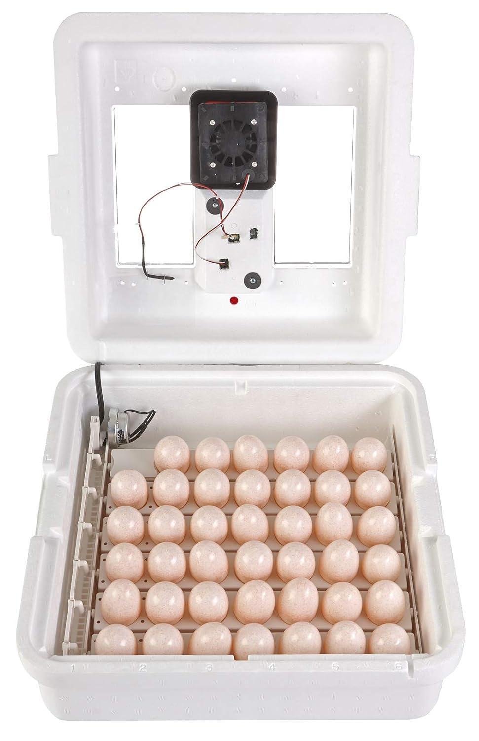 Little Giant White Digital Still Air Incubator