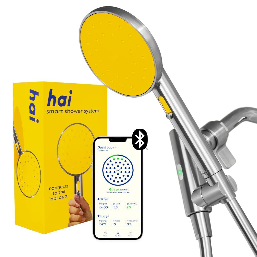 Citron Stainless Steel Bluetooth Handheld Showerhead with LED Alerts