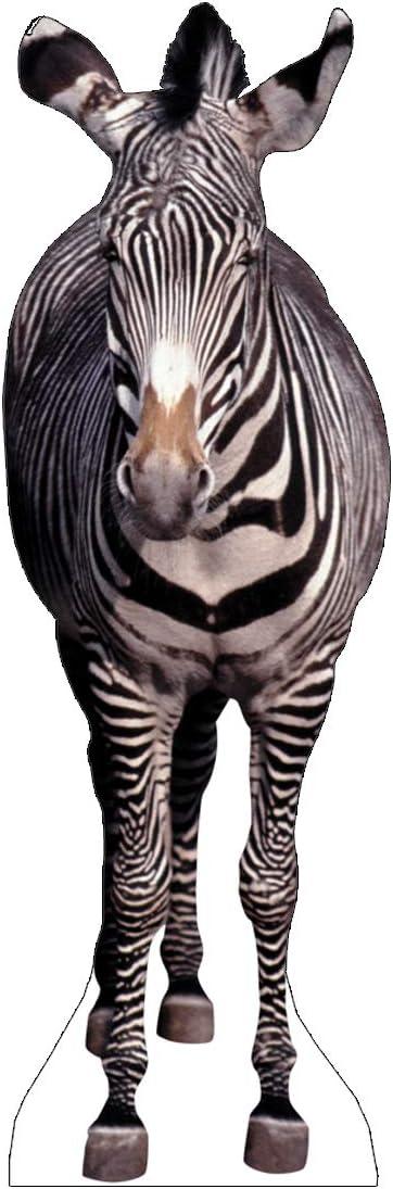 Advanced Graphics Lifesize Wall Decor Cardboard Standup Poster Zebra