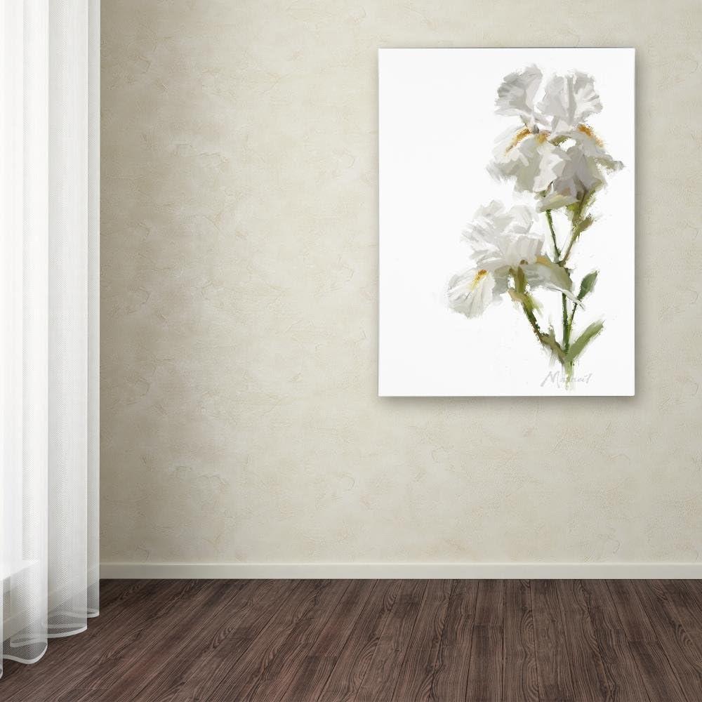 Trademark Fine Art The Macneil Studio " White Iris " by The Macneil Studio