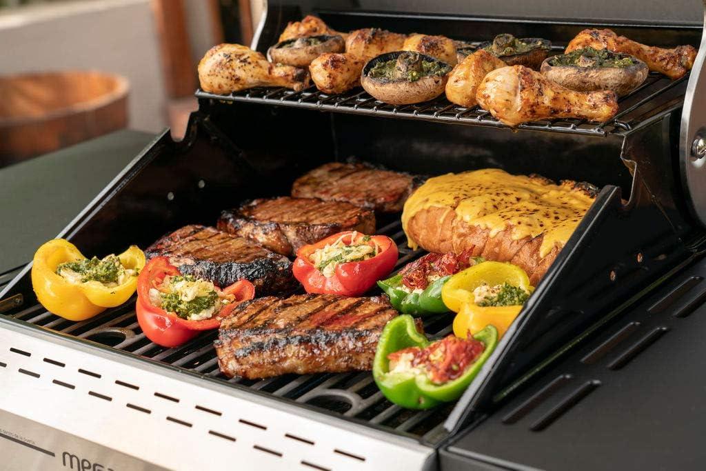 Megamaster 2 - Burner Freestanding Liquid Propane Gas Grill