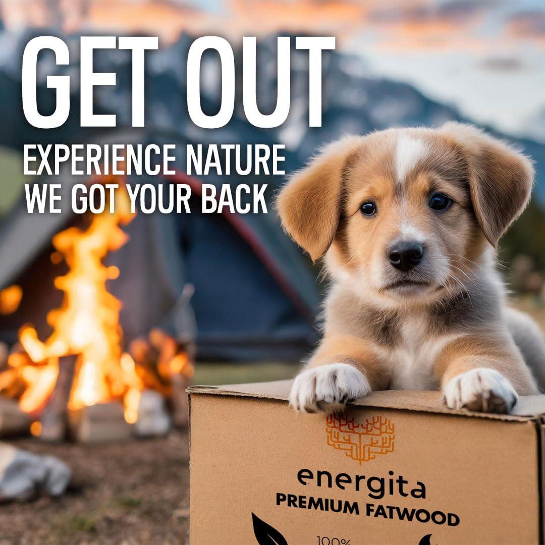 Premium 40lbs, Fatwood Fire Starter Sticks, Fast Fire Starters for Fireplaces, BBQ, Campfires, Pitfires and Wood Stoves, Easy to Light in All Conditions, Camping Essential Equipment Survival Kit