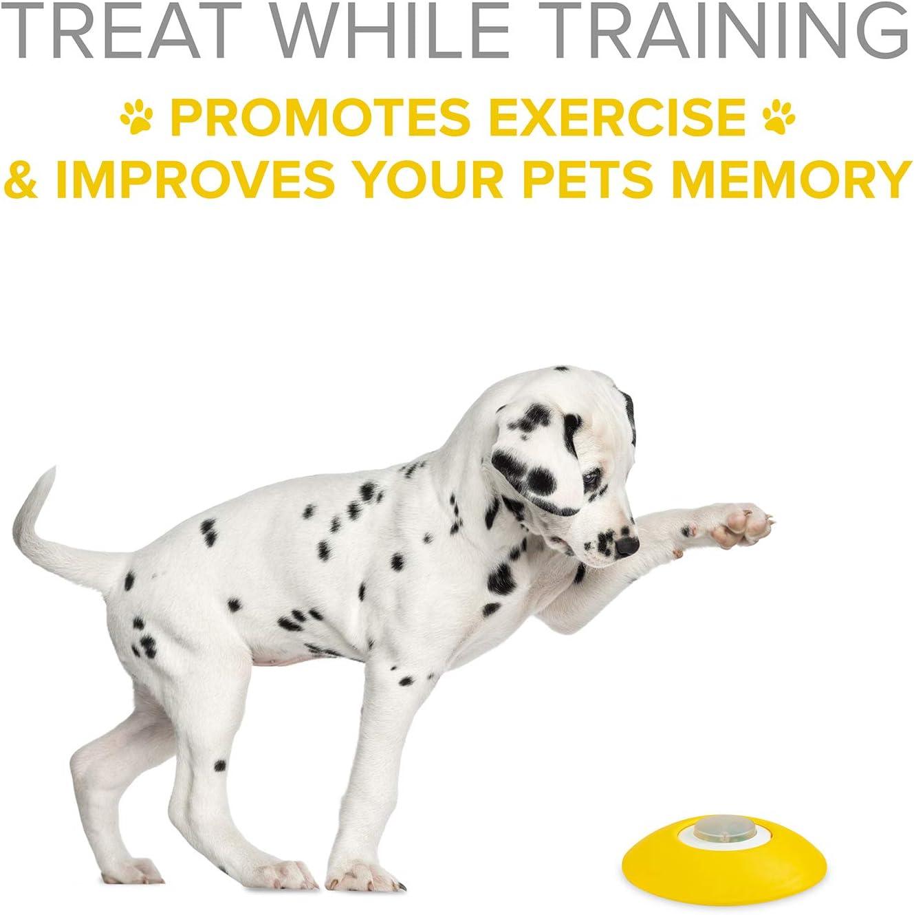 Arf Pets Memory Training Dog Treat Dispenser Toy w/Remote Button