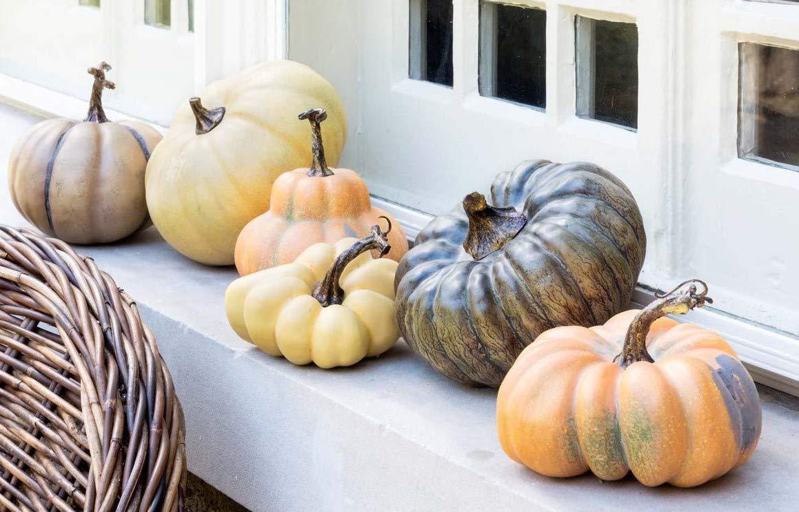 Park Hill Collection, Le Potiron French Pumpkin Collection, Set of 6