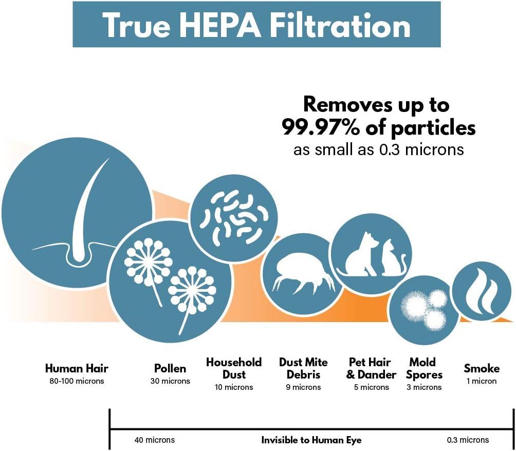 Nispira True HEPA Air Filter Replacement Compatible with Holmes Air Purifier HAPF600 HAPF600D HAPF600D-U2 Filter B, 2 Packs